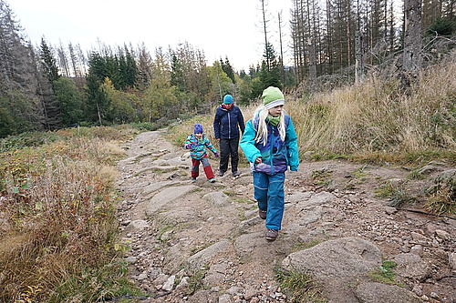 Eckerlochstieg Brocken