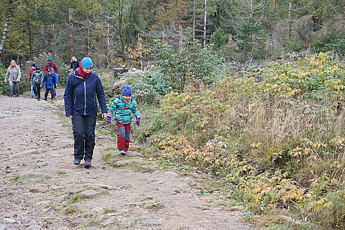 Eckerlochstieg Brocken