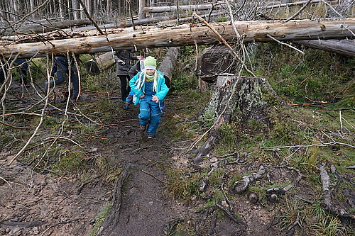 Eckerlochstieg Brocken