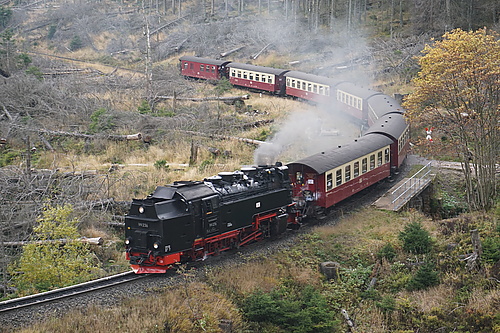 Brockenbahn quert Eckerlochstieg am Brocken