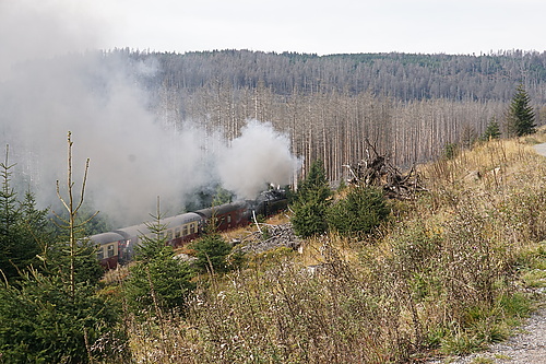 Brockenbahn am Bahnparallelweg Brocken