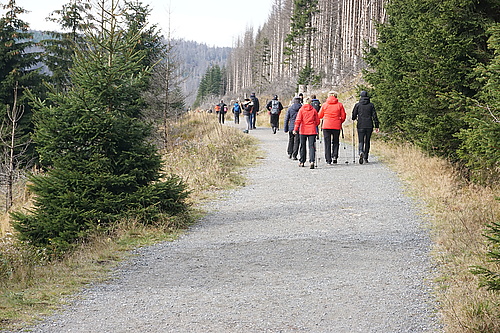 Bahnparallelweg Brocken