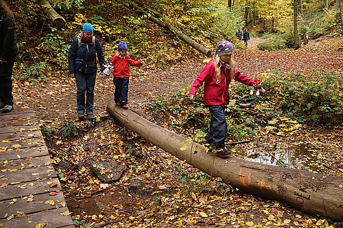 in der Drachenschlucht