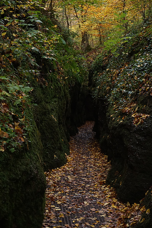 1. Engstellein der Drachenschlucht