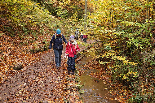 in der Drachenschlucht