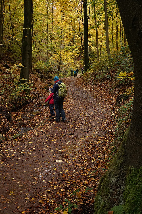 in der Drachenschlucht