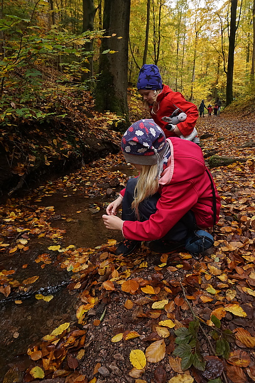 in der Drachenschlucht