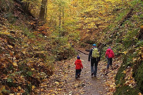 in der Drachenschlucht