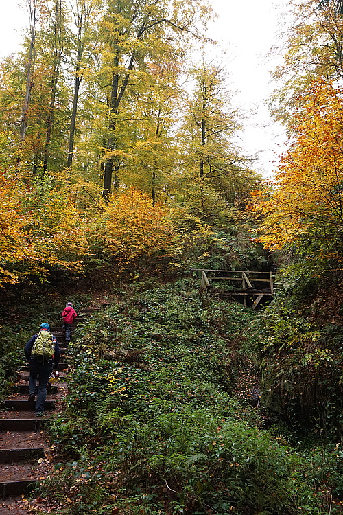 in der Drachenschlucht