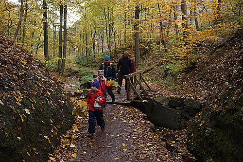 in der Drachenschlucht