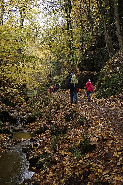 in der Drachenschlucht