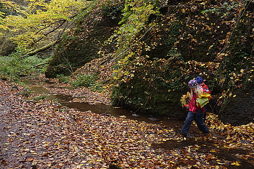 in der Drachenschlucht