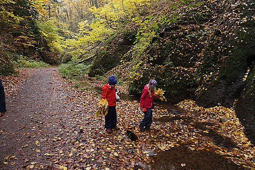 in der Drachenschlucht