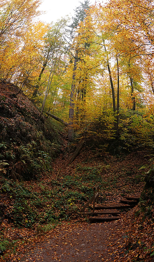 in der Drachenschlucht