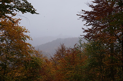 Keine Aussicht auf die Wartburg