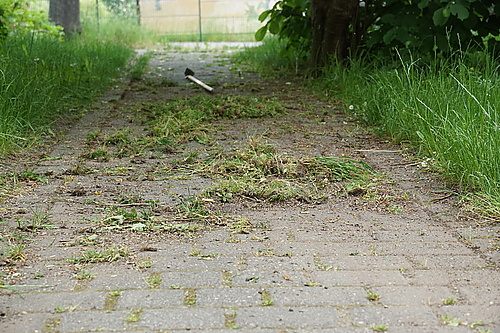 Fugenkratzerei im Knochenpflaster