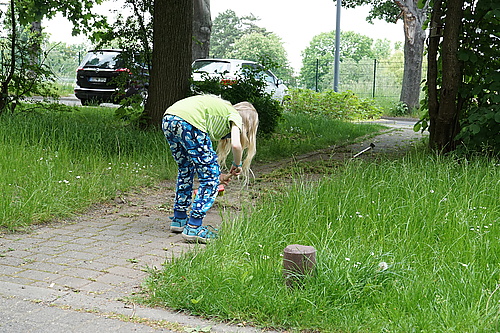 Fugenkratzerei im Knochenpflaster