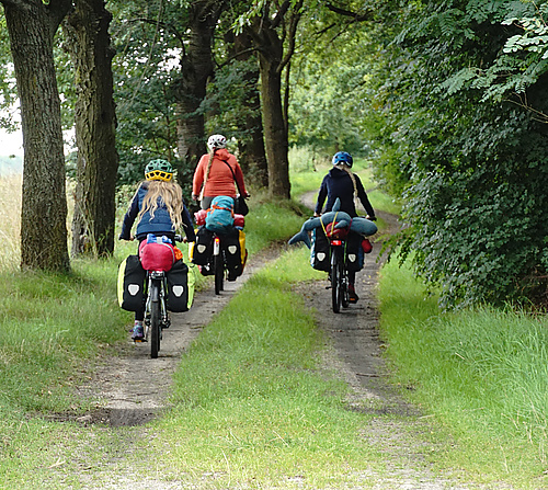 unbefestigter Weg hinter Biehain