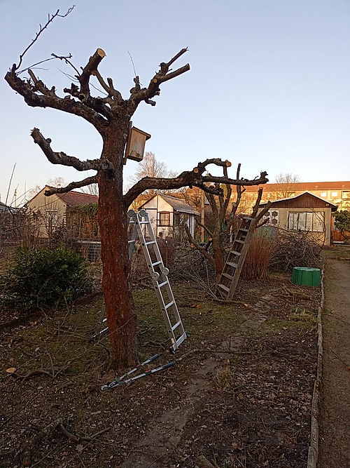 Grünschnitt im Garten