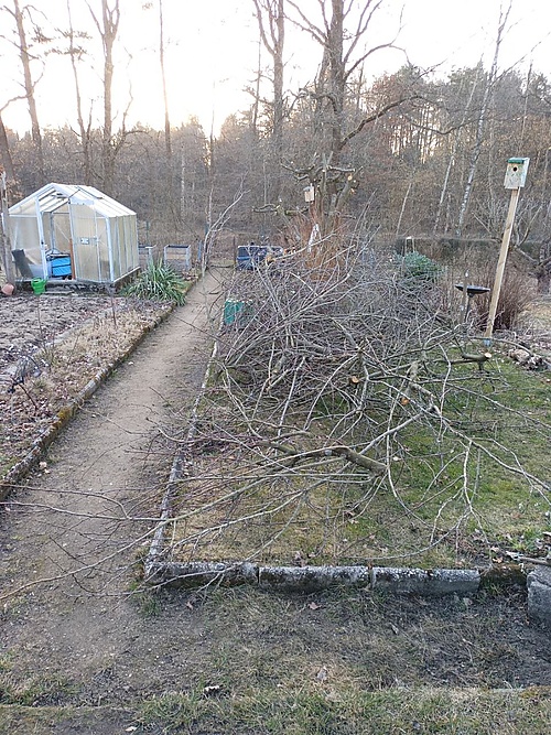 Grünschnitt im Garten