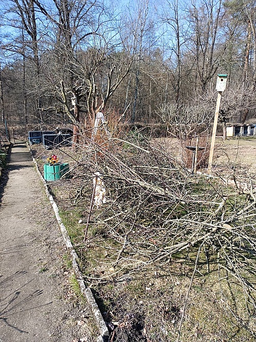 Grünschnitt im Garten