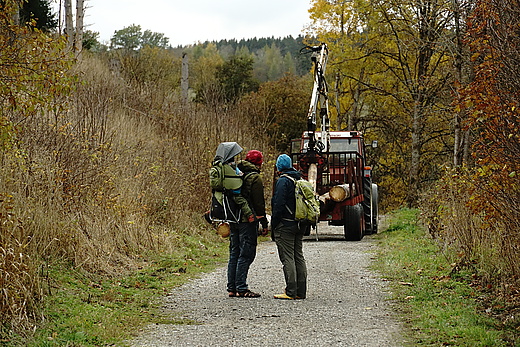 alter Traktor lädt Holz auf