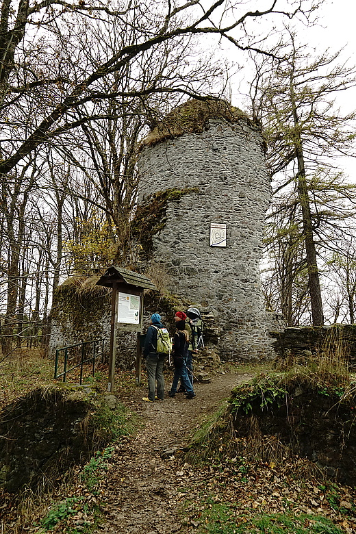 Ruine der Königsburg